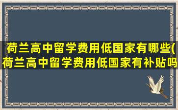 荷兰高中留学费用低国家有哪些(荷兰高中留学费用低国家有补贴吗)