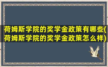 荷姆斯学院的奖学金政策有哪些(荷姆斯学院的奖学金政策怎么样)