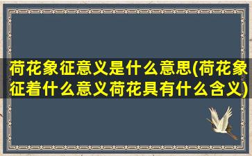 荷花象征意义是什么意思(荷花象征着什么意义荷花具有什么含义)