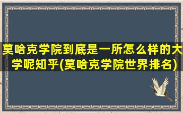 莫哈克学院到底是一所怎么样的大学呢知乎(莫哈克学院世界排名)