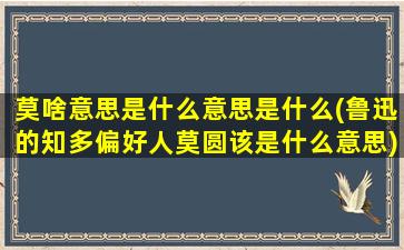 莫啥意思是什么意思是什么(鲁迅的知多偏好人莫圆该是什么意思)