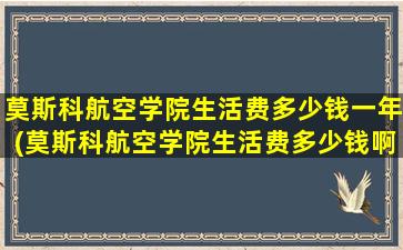 莫斯科航空学院生活费多少钱一年(莫斯科航空学院生活费多少钱啊)