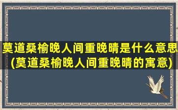 莫道桑榆晚人间重晚晴是什么意思(莫道桑榆晚人间重晚晴的寓意)