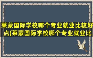 莱蒙国际学校哪个专业就业比较好点(莱蒙国际学校哪个专业就业比较好呢)