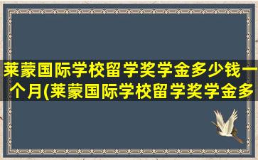 莱蒙国际学校留学奖学金多少钱一个月(莱蒙国际学校留学奖学金多少钱啊)