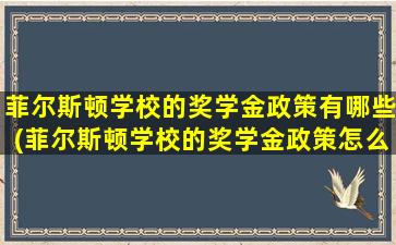 菲尔斯顿学校的奖学金政策有哪些(菲尔斯顿学校的奖学金政策怎么样)