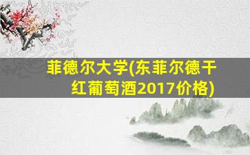 菲德尔大学(东菲尔德干红葡萄酒2017价格)