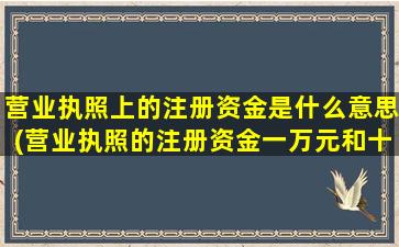 营业执照上的注册资金是什么意思(营业执照的注册资金一万元和十万元有什么区别)