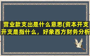 营业款支出是什么意思(资本开支开支是指什么，好象西方财务分析报告中经常有这个词的)