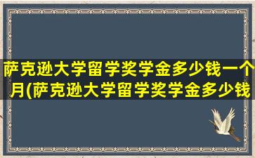 萨克逊大学留学奖学金多少钱一个月(萨克逊大学留学奖学金多少钱啊)