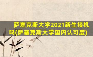 萨塞克斯大学2021新生接机吗(萨塞克斯大学国内认可度)