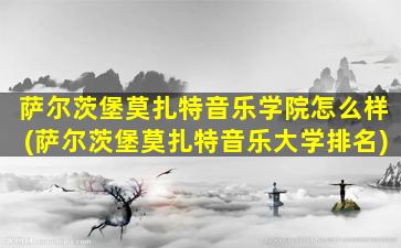 萨尔茨堡莫扎特音乐学院怎么样(萨尔茨堡莫扎特音乐大学排名)