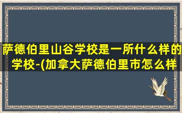 萨德伯里山谷学校是一所什么样的学校-(加拿大萨德伯里市怎么样)