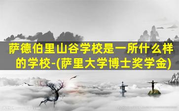 萨德伯里山谷学校是一所什么样的学校-(萨里大学博士奖学金)