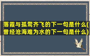 落霞与孤鹜齐飞的下一句是什么(曾经沧海难为水的下一句是什么)