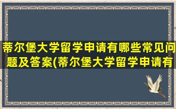 蒂尔堡大学留学申请有哪些常见问题及答案(蒂尔堡大学留学申请有哪些常见问题和答案)