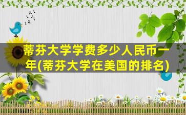 蒂芬大学学费多少人民币一年(蒂芬大学在美国的排名)