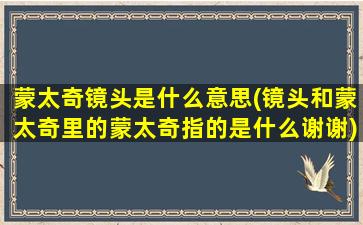 蒙太奇镜头是什么意思(镜头和蒙太奇里的蒙太奇指的是什么谢谢)