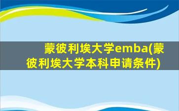 蒙彼利埃大学emba(蒙彼利埃大学本科申请条件)