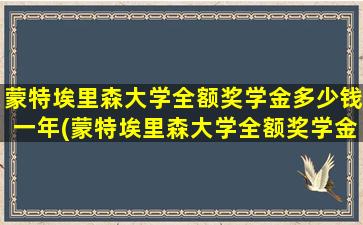 蒙特埃里森大学全额奖学金多少钱一年(蒙特埃里森大学全额奖学金多少钱一个月)