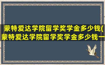 蒙特爱达学院留学奖学金多少钱(蒙特爱达学院留学奖学金多少钱一个月)