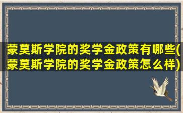 蒙莫斯学院的奖学金政策有哪些(蒙莫斯学院的奖学金政策怎么样)