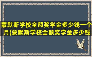 蒙默斯学校全额奖学金多少钱一个月(蒙默斯学校全额奖学金多少钱)