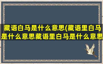 藏语白马是什么意思(藏语里白马是什么意思藏语里白马是什么意思)