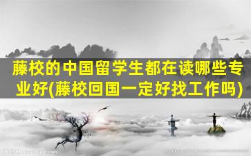 藤校的中国留学生都在读哪些专业好(藤校回国一定好找工作吗)