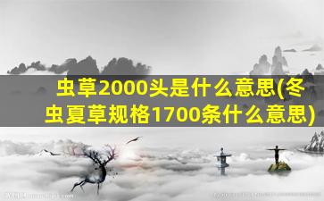 虫草2000头是什么意思(冬虫夏草规格1700条什么意思)