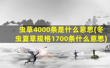 虫草4000条是什么意思(冬虫夏草规格1700条什么意思)