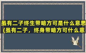 虽有二子终生带暗方可是什么意思(虽有二子，终身带暗方可什么意思，请高人指教)