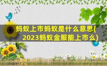 蚂蚁上市蚂蚁是什么意思(2023蚂蚁金服能上市么)