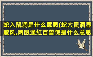 蛇入鼠洞是什么意思(蛇穴鼠洞显威风,两眼通红百兽慌是什么意思)