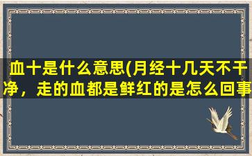 血十是什么意思(月经十几天不干净，走的血都是鲜红的是怎么回事啊)