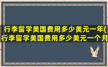 行李留学美国费用多少美元一年(行李留学美国费用多少美元一个月)