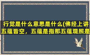 行觉是什么意思是什么(佛经上讲五蕴皆空，五蕴是指那五蕴观照是什么意思)