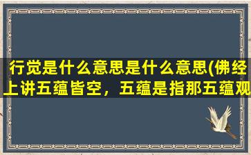 行觉是什么意思是什么意思(佛经上讲五蕴皆空，五蕴是指那五蕴观照是什么意思)