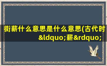 街薪什么意思是什么意思(古代时“薪”是什么意思)