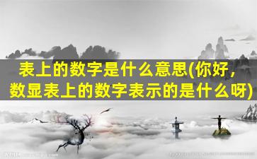 表上的数字是什么意思(你好，数显表上的数字表示的是什么呀)