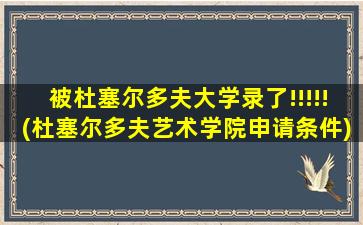 被杜塞尔多夫大学录了!!!!!(杜塞尔多夫艺术学院申请条件)