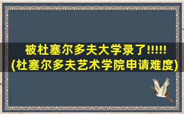 被杜塞尔多夫大学录了!!!!!(杜塞尔多夫艺术学院申请难度)