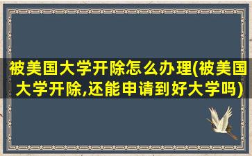 被美国大学开除怎么办理(被美国大学开除,还能申请到好大学吗)