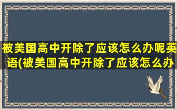 被美国高中开除了应该怎么办呢英语(被美国高中开除了应该怎么办呢英文)