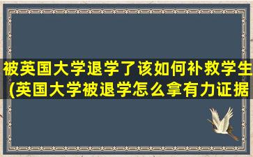 被英国大学退学了该如何补救学生(英国大学被退学怎么拿有力证据申诉)