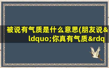 被说有气质是什么意思(朋友说“你真有气质”是什么意思)