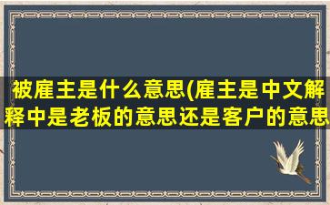 被雇主是什么意思(雇主是中文解释中是老板的意思还是客户的意思)