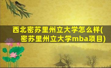 西北密苏里州立大学怎么样(密苏里州立大学mba项目)