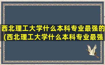 西北理工大学什么本科专业最强的(西北理工大学什么本科专业最强排名)