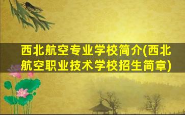 西北航空专业学校简介(西北航空职业技术学校招生简章)